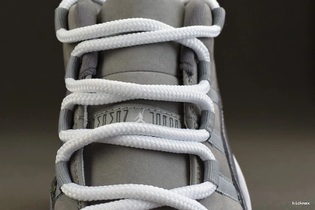 Rep MAX Low Air Grey Jordan 11 528895-003 Cool 0714